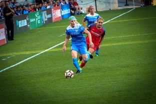 中国篮球职业联赛俱乐部青训人才培养模式创新，中国篮球青训队