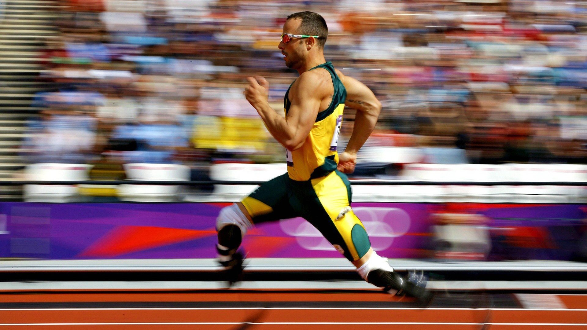 奥地利仰泳强将冲入决赛，奥地利仰泳强将冲入决赛是哪一集