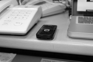 技术数据揭示冠军转身平均仅0.65秒，冠军转盘